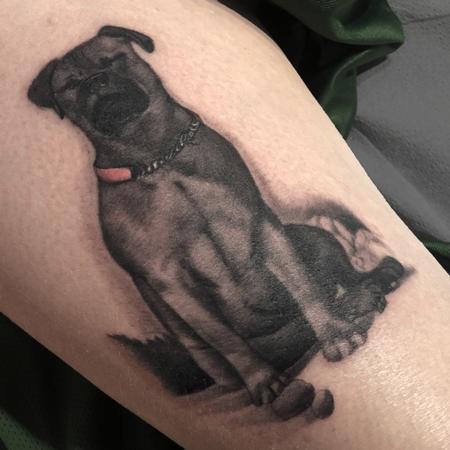 Eddie Zavala - Black and Grey Dog 