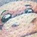 tattoo galleries/ - monkee tricycle