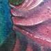 tattoo galleries/ - octo-pie