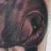 Barn owl Tattoo Design Thumbnail