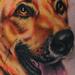 German Shepard Tattoo Design Thumbnail