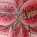 tattoo galleries/ - untitled
