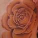 Tattoos - Color Rose Tattoo - 57956
