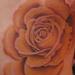 tattoos/ - Color Rose Tattoo - 57956