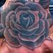 Tattoos - Black and Gray Rose Tattoo - 57955