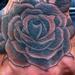 tattoos/ - Black and Gray Rose Tattoo - 57955