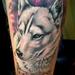 Tattoos - husky - 69805