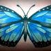 tattoo galleries/ - Butterfly Tattoo