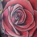 tattoo galleries/ - Rose Tattoo - 50599