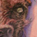tattoo galleries/ - The world's ugliest dog! - 24678