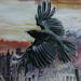 Tattoos - The Further Adventures of the Raven - 53598
