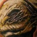 Tattoos -  - 39530