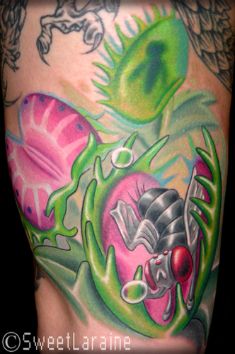 Sweet Laraine - Venus Fly Traps!