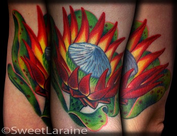 Tattoos - Sweet Laraine - King Protea