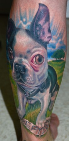 Tattoos - Boston Terrier