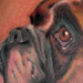Tattoos - Boxer Dog - 22633