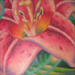 Tattoos - Tanya's Stargazer Lilies - 22692