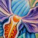 Tattoos - Orchids! - 24364