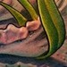 tattoo galleries/ - Desert Tulip