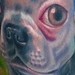 Tattoos - Boston Terrier - 44083