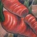 Tattoos - Vegan Diet - 44201