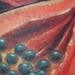 Tattoos - Detail of Vegan Diet - 44202
