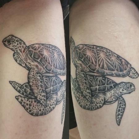 Cat Johnson - Sea Turtles 