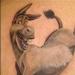 Tattoos - Shrek Donkey Tattoo - 64897