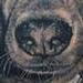 Tattoos - Dolly the German Shepard - 68566