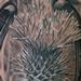 Tattoos - Horseshoe, Shamrock, Thistle - 68595