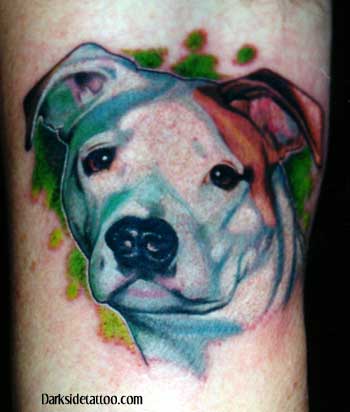 Tattoos - pitbull - 1308