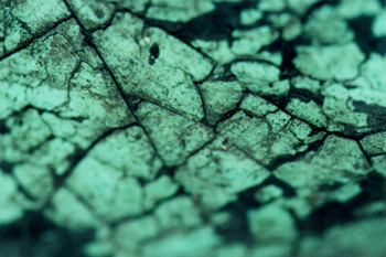 Photos topographical research V