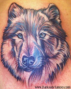 Tattoos - Ethnic Native American tattoos - Wolf