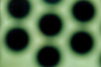 Photos pattern of behavior VII