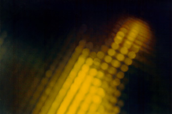 Photos pattern of behavior VIII