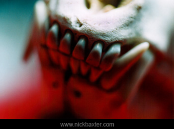 Photos postmortem
