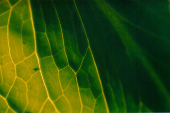 Photos topographical research XI