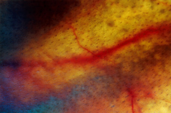 Photos topographical research XIV