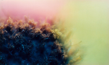 Photos topographical research XV