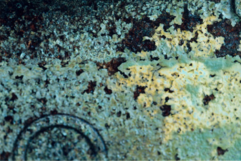 Photos topographical research XX