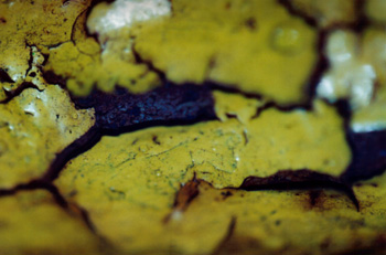 Photos topographical research IV