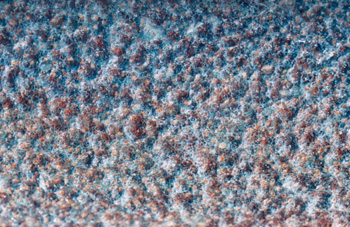 Photos topographical research VII