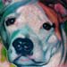 Tattoos - pitbull - 1308