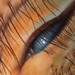 Tattoos - eye - 3015