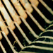  - pattern of behavior III