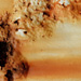  - topographical research XVII