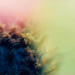  - topographical research XV