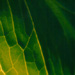  - topographical research XI