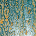  - topographical research VIII