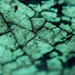  - topographical research V